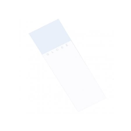 Globe Scientific Microscope Slides, Ground Edge, Safety Corner, White, 1440/cs, 1440PK 195610-W